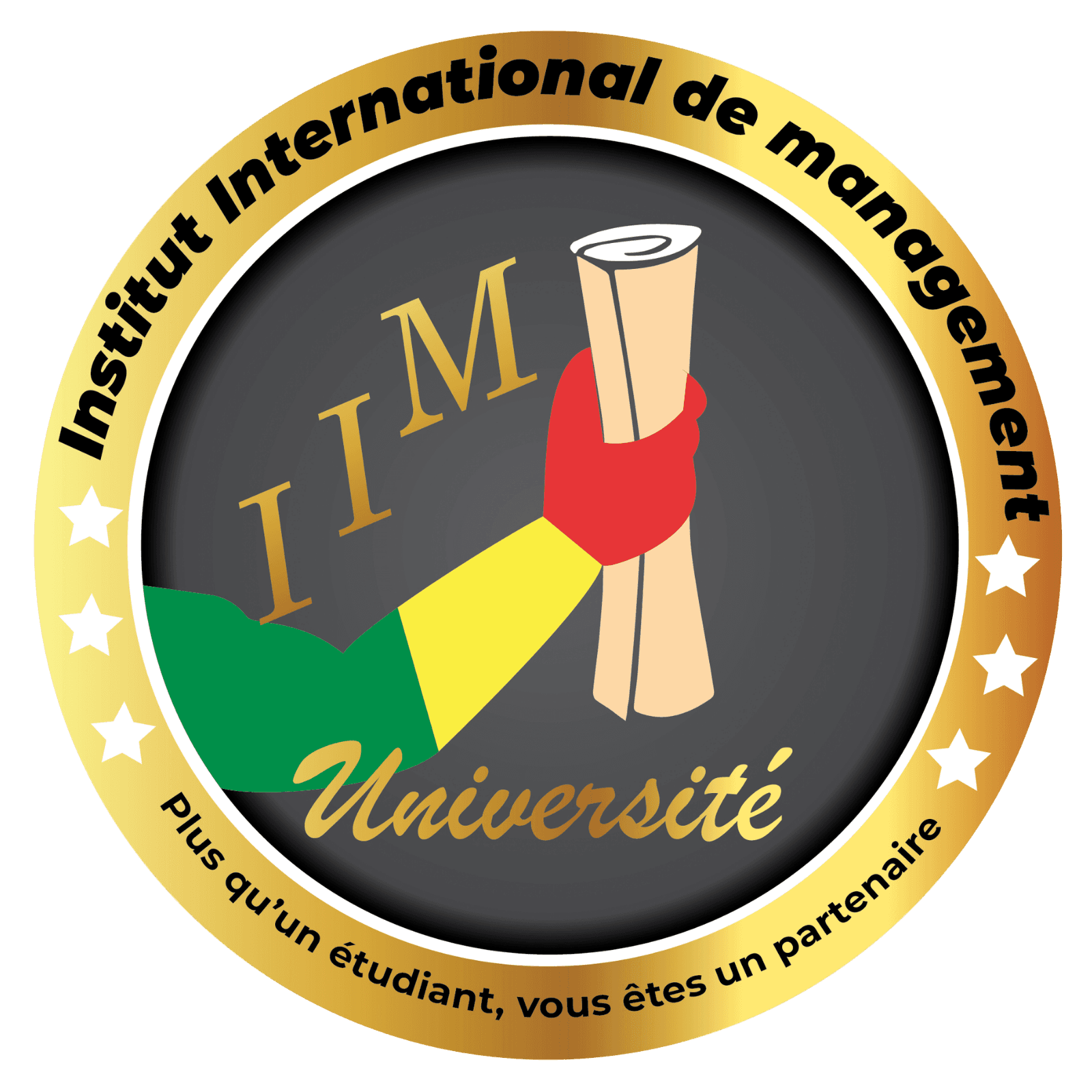 Logo IIM-BAMAKO